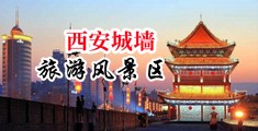 播放大黑屌破处视屏中国陕西-西安城墙旅游风景区